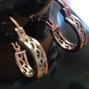 Pair of fashion earrings for women